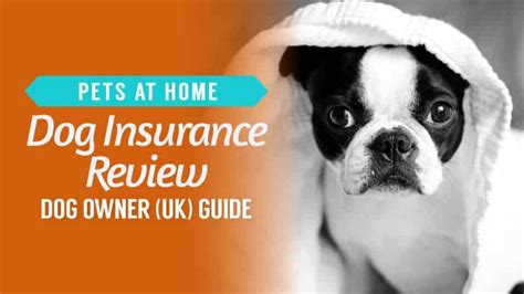 pet insurance reviews uk 2022